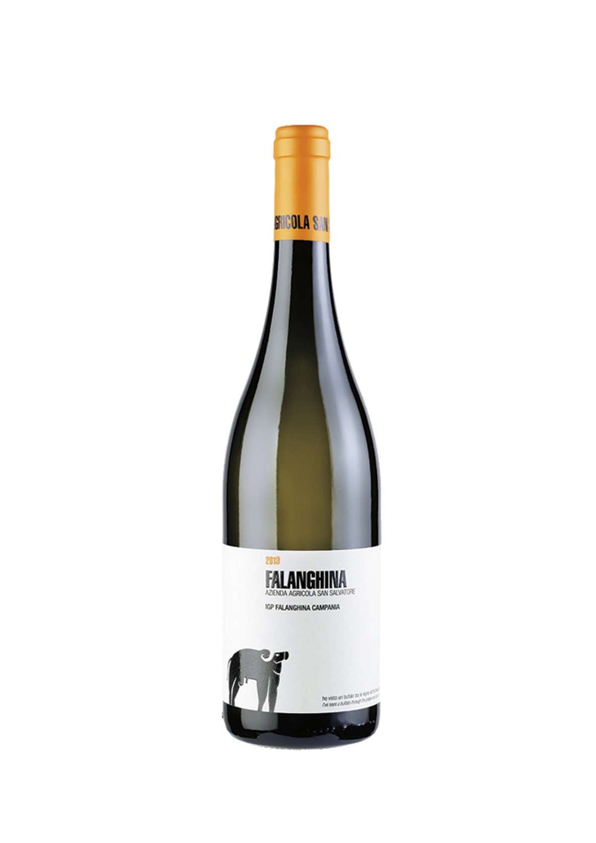 Campania Falanghina IGP 2024 San Salvatore