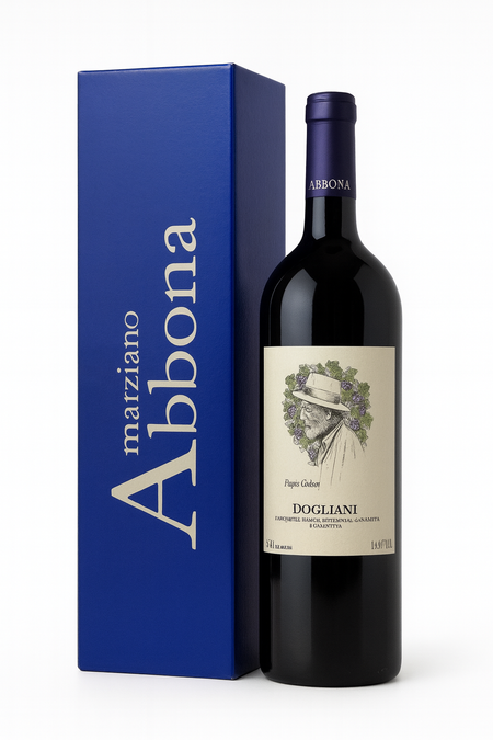 Dolcetto di Dogliani DOCG "Papà Celso" 2021 Magnum