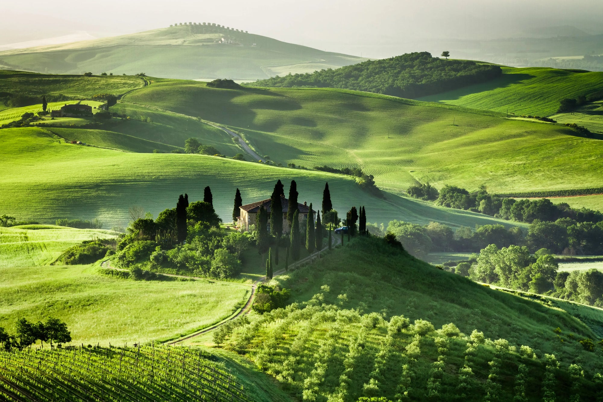 Toscana-Bianchi Winehundred