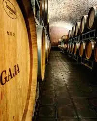 Gaja Winehundred