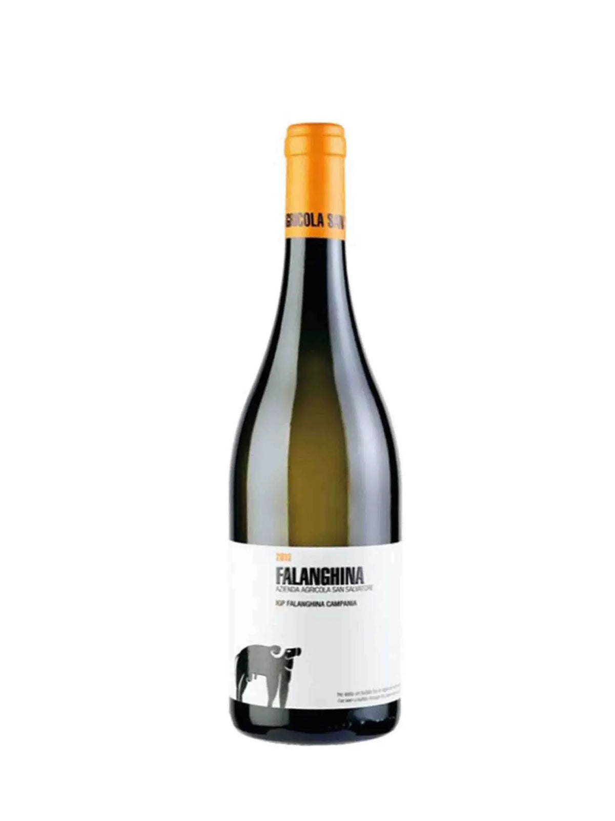 Campania Falanghina IGP 2024 San Salvatore San Salvatore