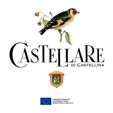 Castellare di Castellina