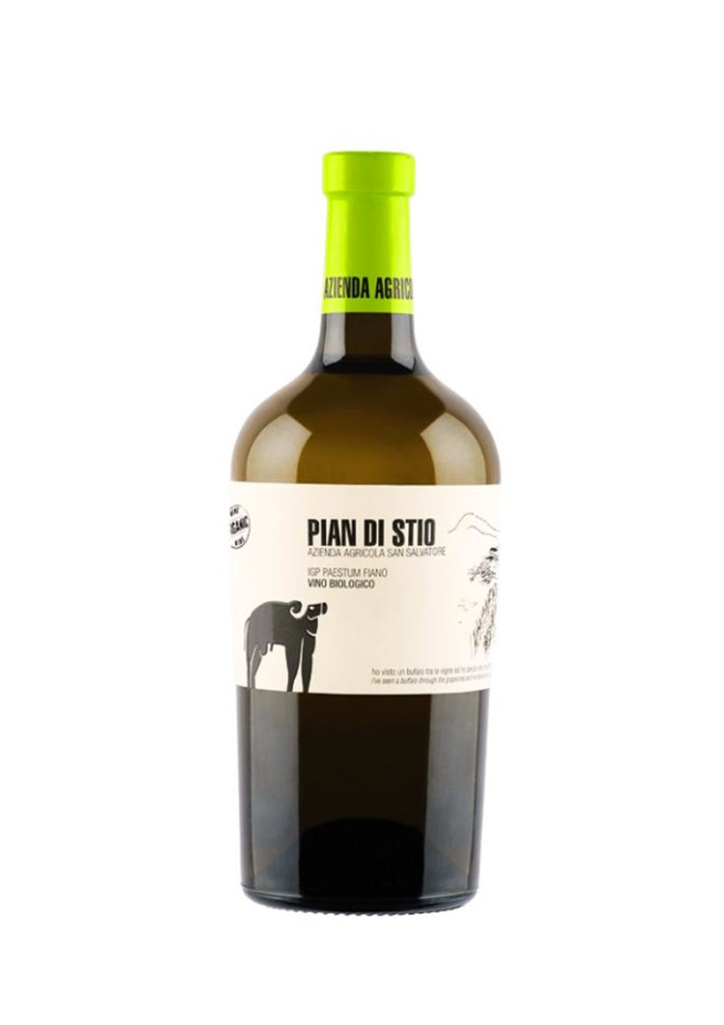 Fiano Pian di Stio San Salvatore 2024