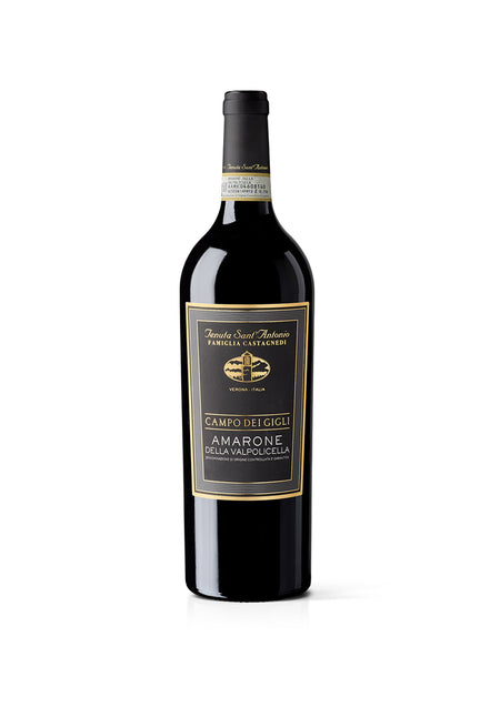 Amarone Della Valpolicella Campo dei Gigli Tenuta Sant'Antonio 2017